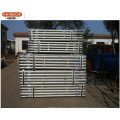 Tianjin Construction Used Scaffoldings Ringlock Layer Scaffoldings